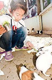 狗狗流鼻涕怎么办图