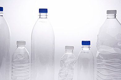 阿拉斯加雪橇犬拉稀观察狗狗便便的情况
