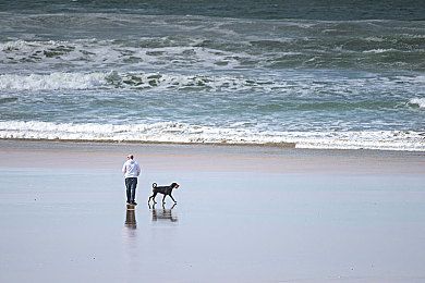 金毛犬身上痒怎么办避免过度疲劳和精神紧张