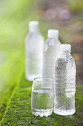 海南航空发布宠物空运的规定价格不贵