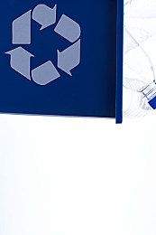 忌廉兔好养吗忌廉兔抵抗力很强不易生病