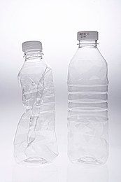 野生动物当宠物合法吗