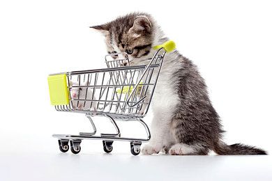 如何训练布偶猫用猫抓板猫抓板妙用视频