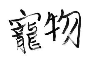 狗蚤怎么去除